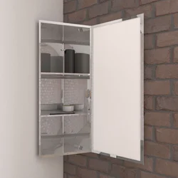 ARMOIRE MIROIR EN ACIER INOXYDABLE POUR COIN - 80x30x175