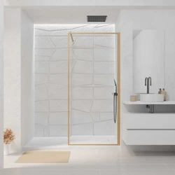 Paroi de Douche 90x200 cm - Cadre et Bras Aluminium D